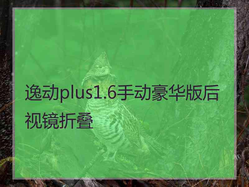 逸动plus1.6手动豪华版后视镜折叠