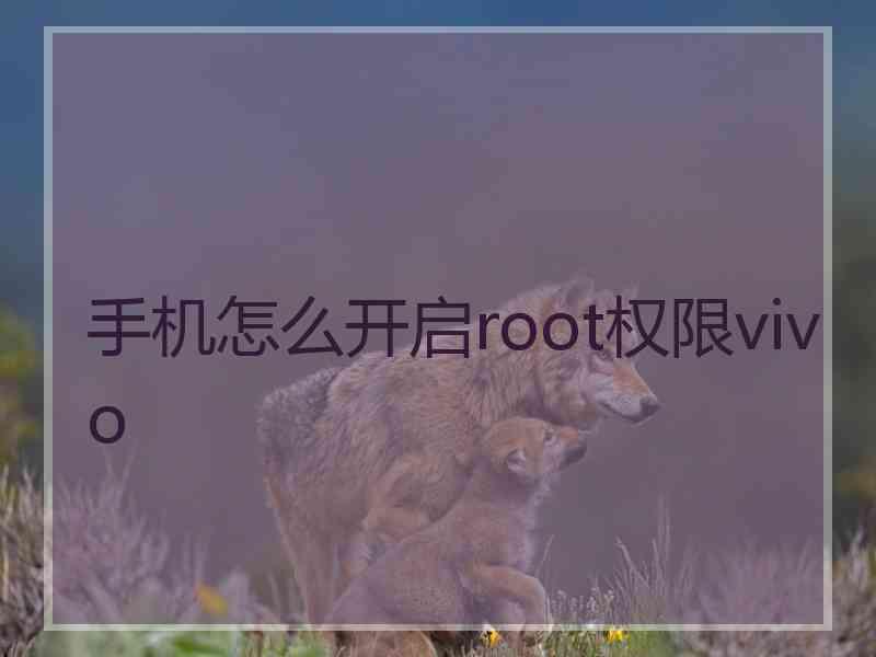 手机怎么开启root权限vivo