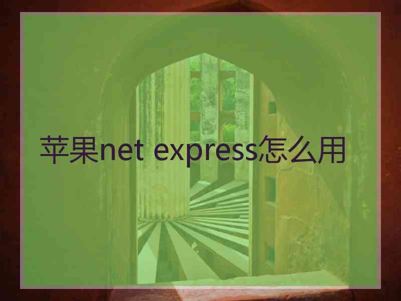 苹果net express怎么用