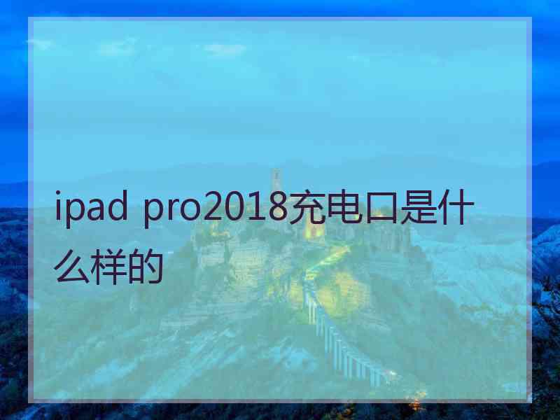 ipad pro2018充电口是什么样的