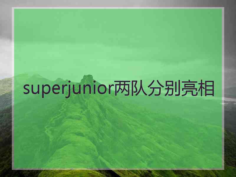 superjunior两队分别亮相