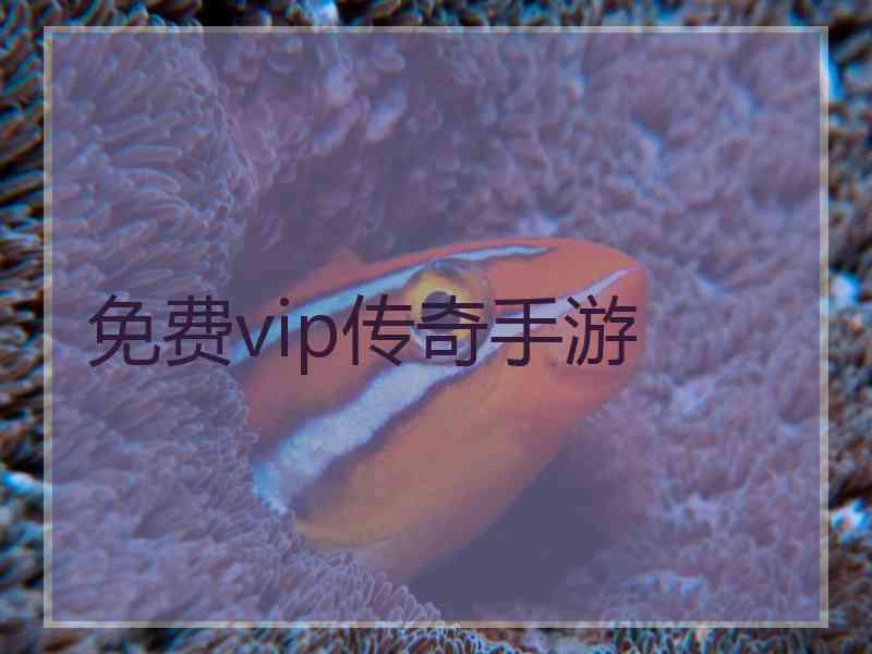 免费vip传奇手游