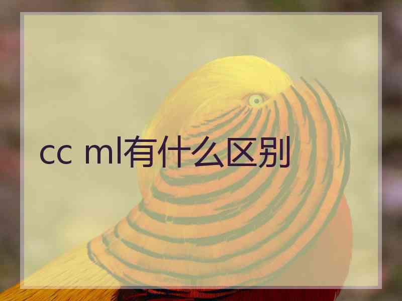 cc ml有什么区别