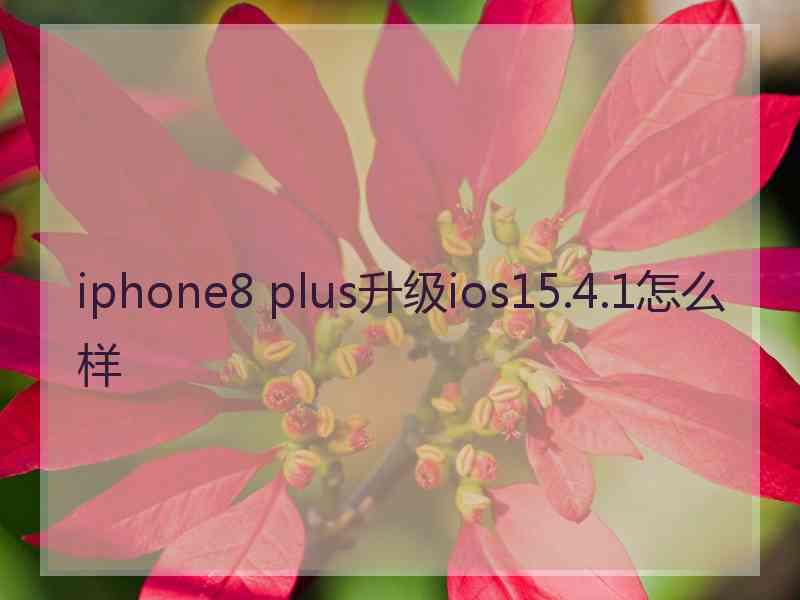 iphone8 plus升级ios15.4.1怎么样