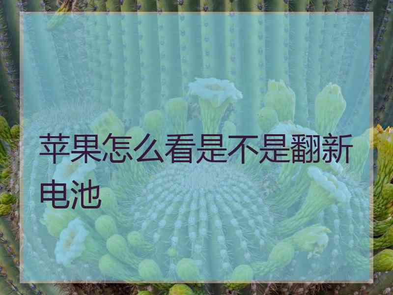 苹果怎么看是不是翻新电池