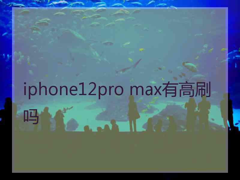 iphone12pro max有高刷吗