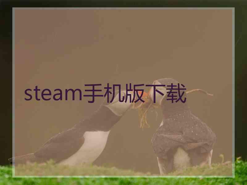 steam手机版下载