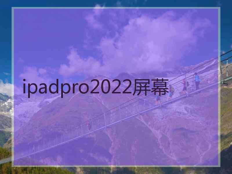 ipadpro2022屏幕