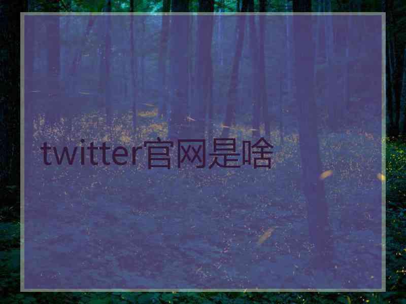 twitter官网是啥