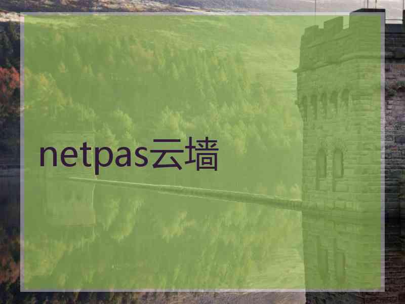 netpas云墙