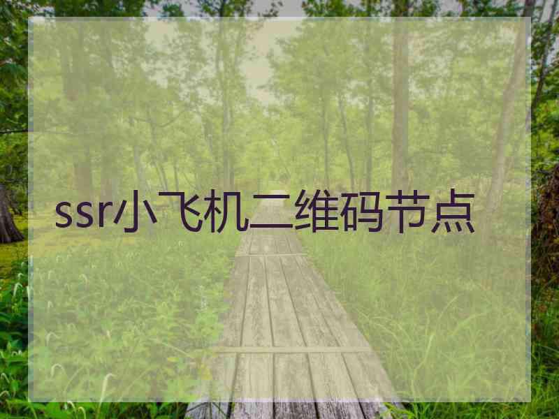 ssr小飞机二维码节点