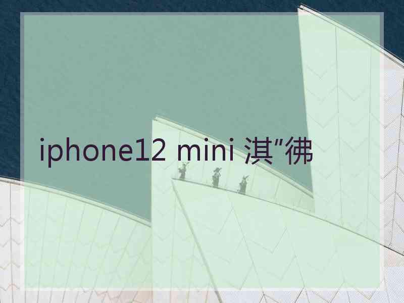 iphone12 mini 淇″彿