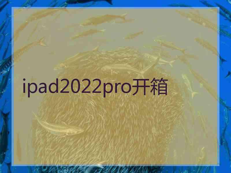 ipad2022pro开箱