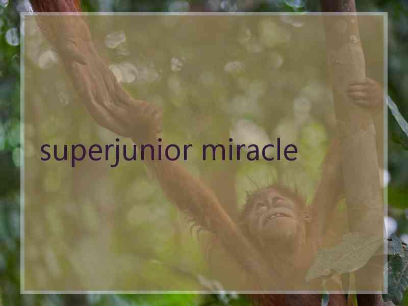 superjunior miracle