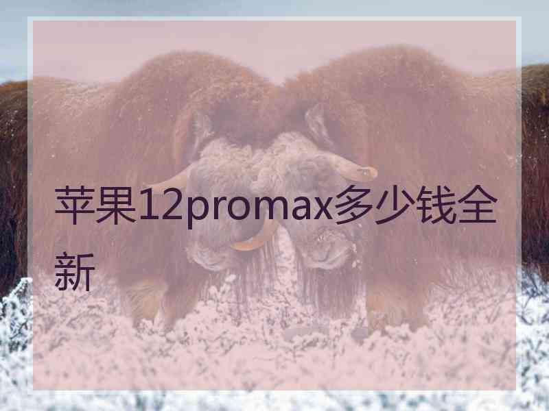 苹果12promax多少钱全新