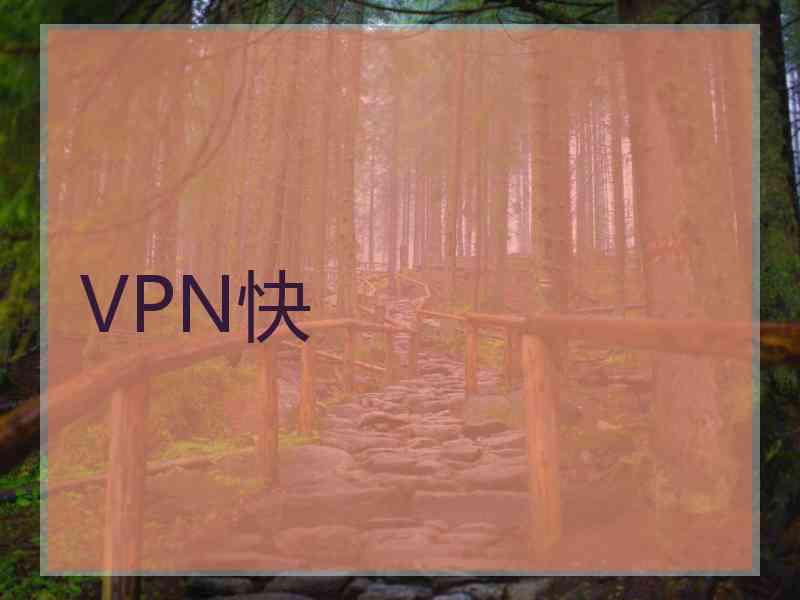 VPN快