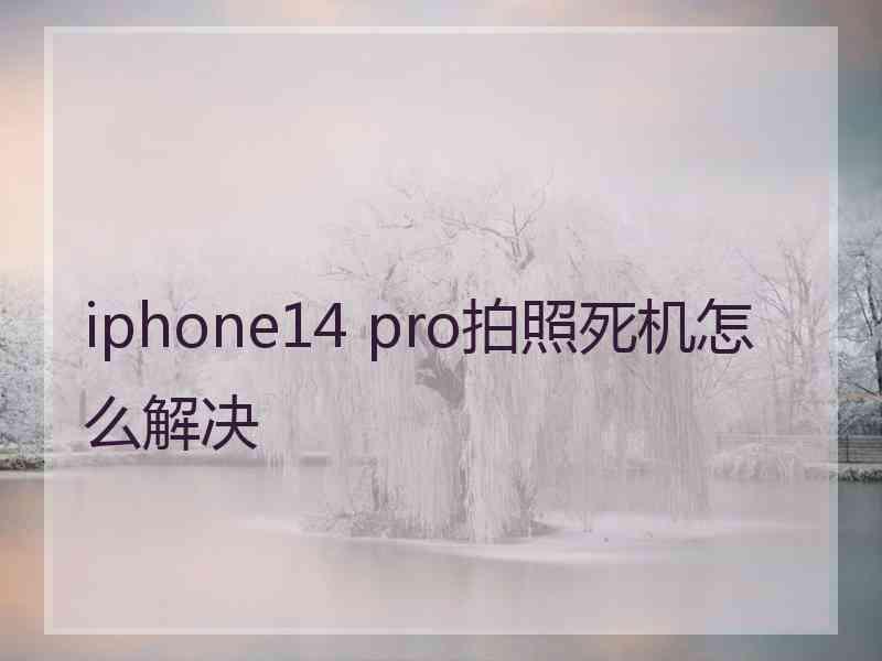 iphone14 pro拍照死机怎么解决