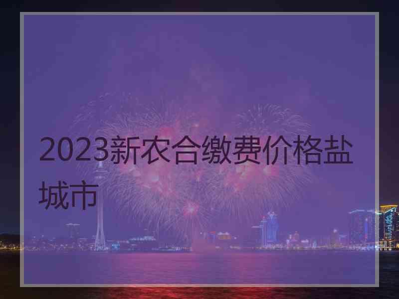 2023新农合缴费价格盐城市