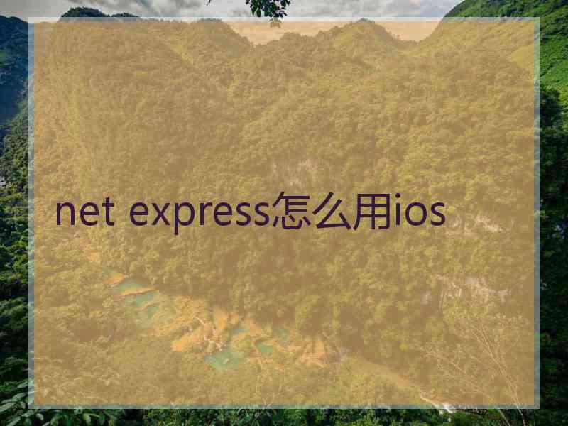 net express怎么用ios