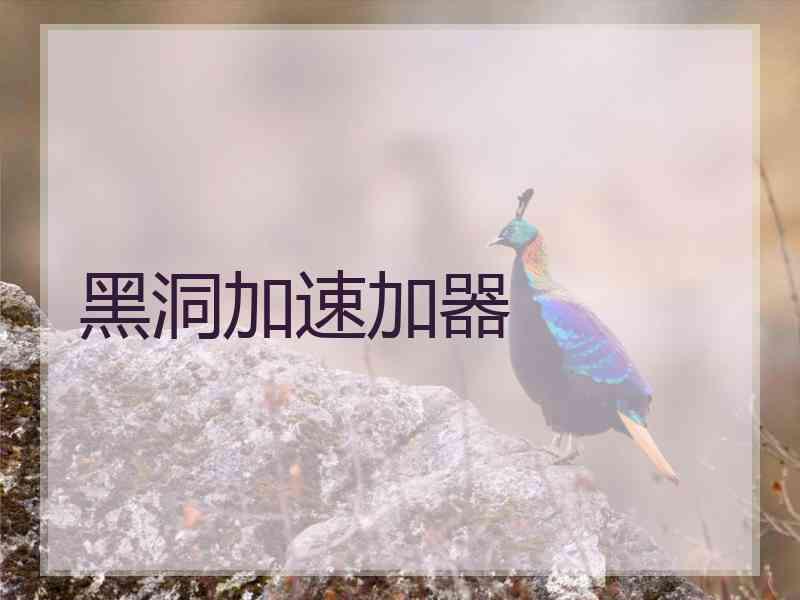 黑洞加速加器