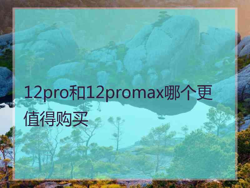 12pro和12promax哪个更值得购买