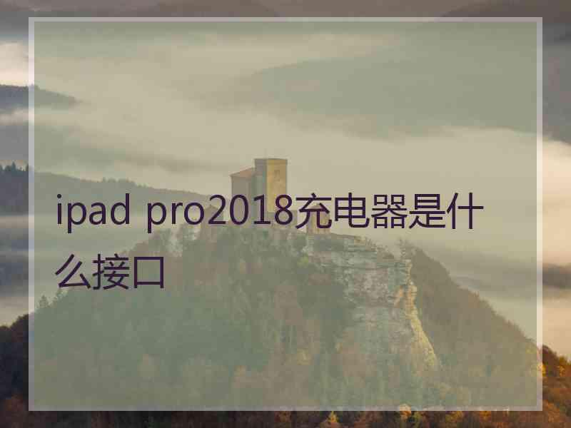 ipad pro2018充电器是什么接口