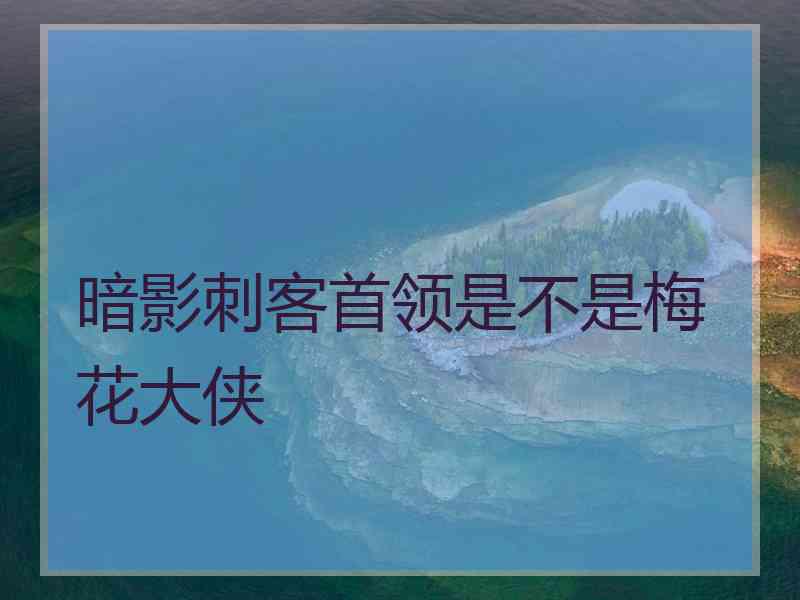 暗影刺客首领是不是梅花大侠