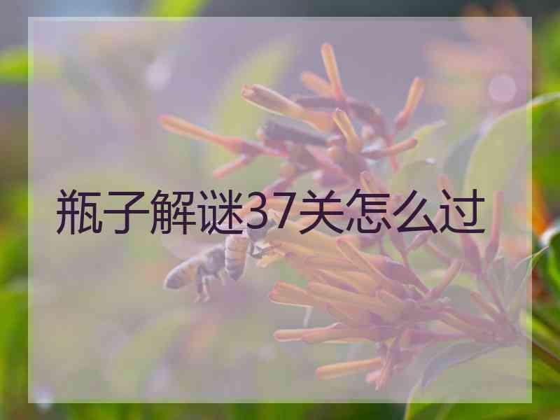 瓶子解谜37关怎么过