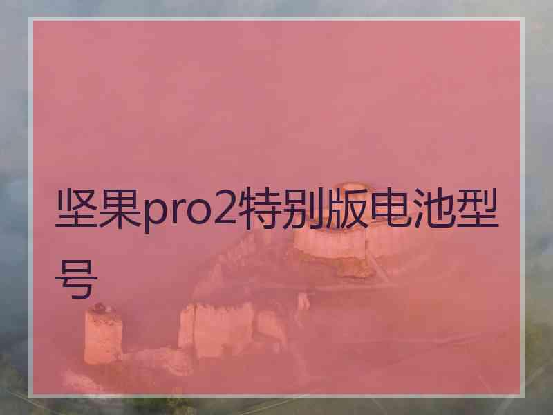 坚果pro2特别版电池型号