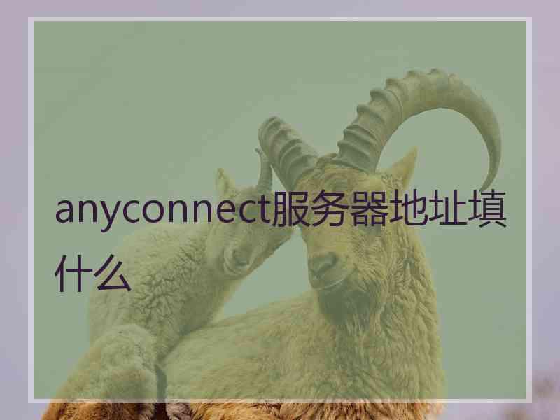 anyconnect服务器地址填什么