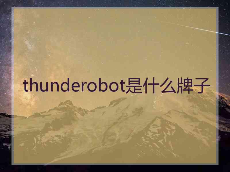 thunderobot是什么牌子