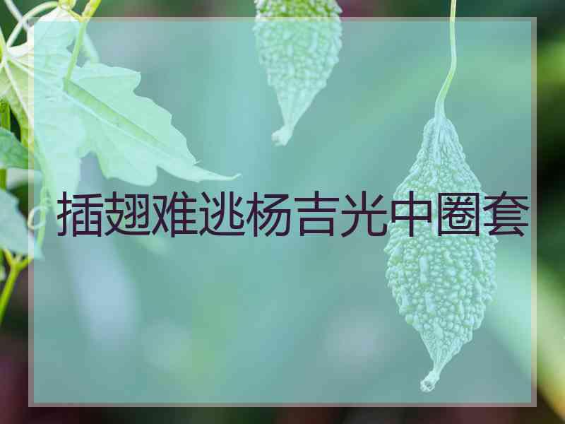 插翅难逃杨吉光中圈套