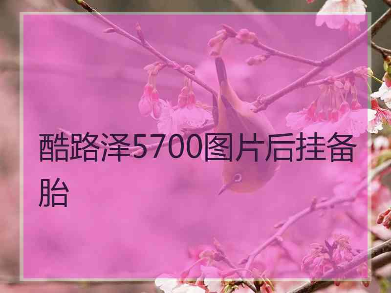 酷路泽5700图片后挂备胎