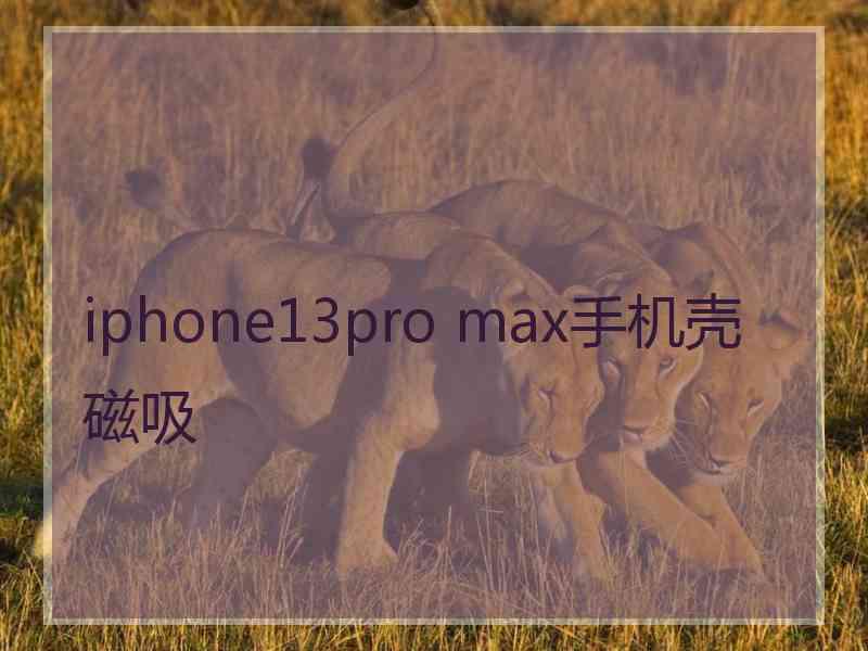 iphone13pro max手机壳磁吸