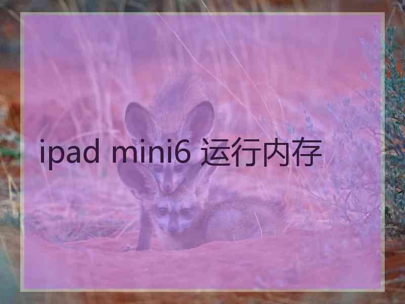 ipad mini6 运行内存