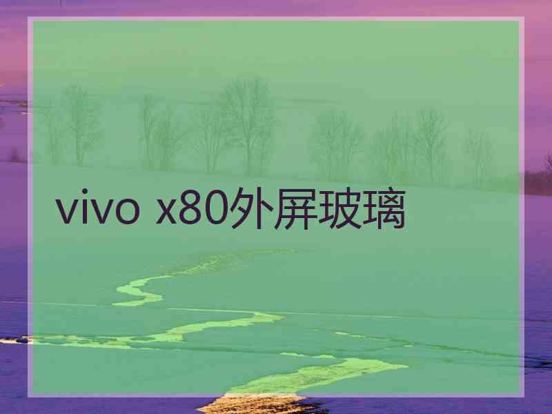 vivo x80外屏玻璃