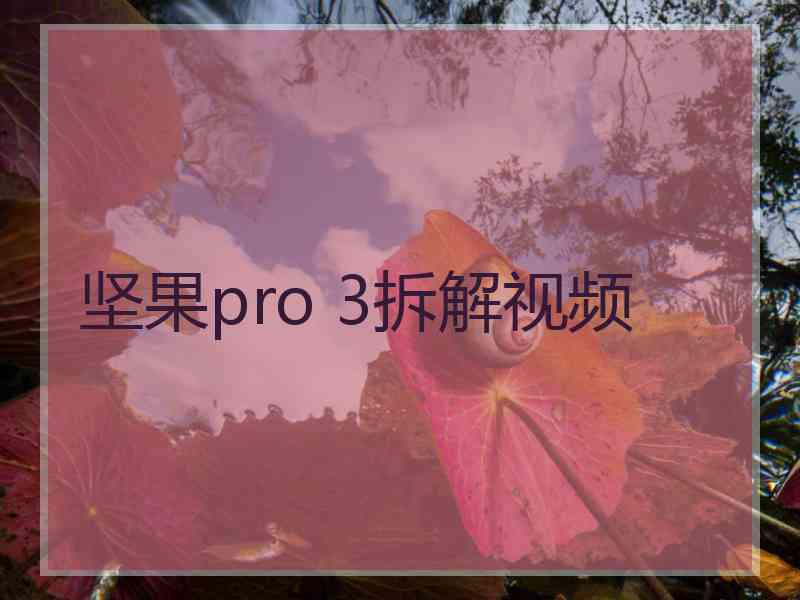 坚果pro 3拆解视频