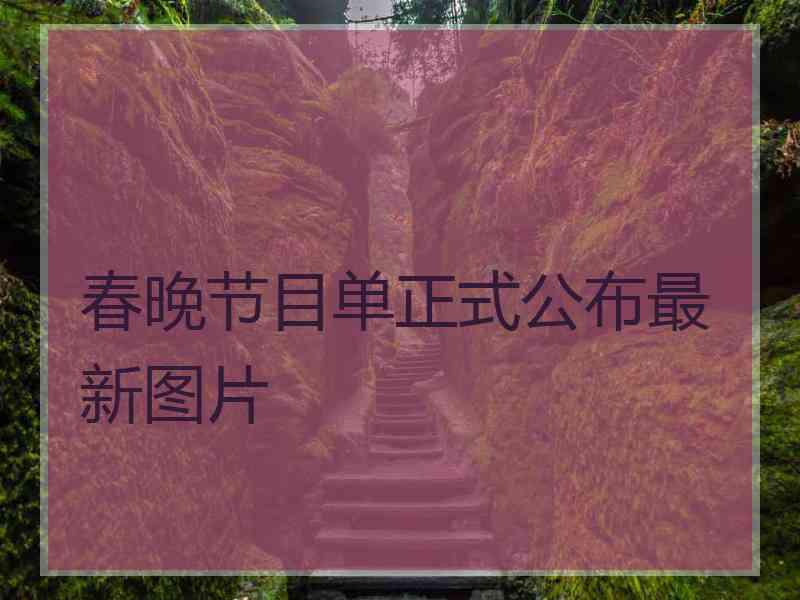 春晚节目单正式公布最新图片