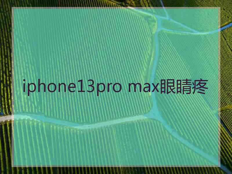 iphone13pro max眼睛疼