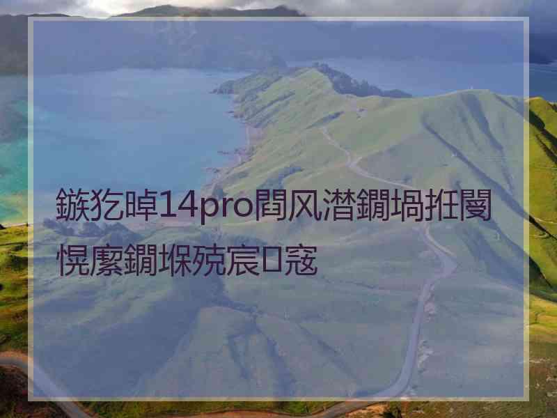 鏃犵晫14pro閰风澘鐗堝拰閿愰緳鐗堢殑宸窛