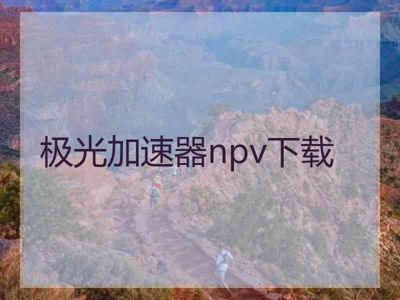 极光加速器npv下载