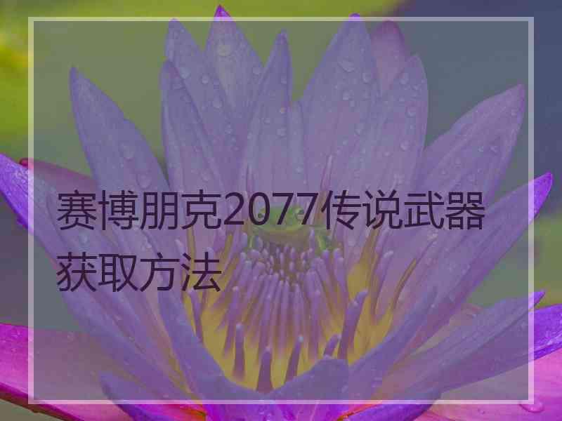 赛博朋克2077传说武器获取方法