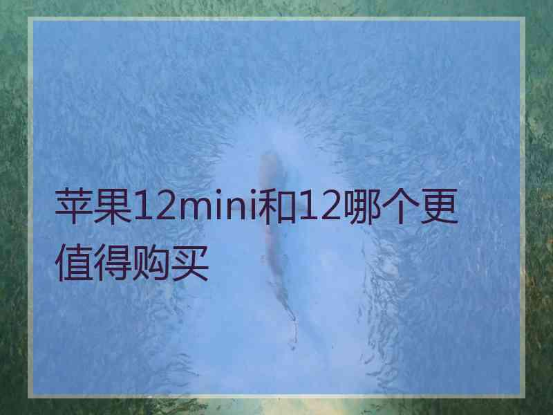 苹果12mini和12哪个更值得购买