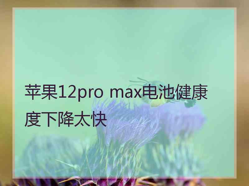 苹果12pro max电池健康度下降太快