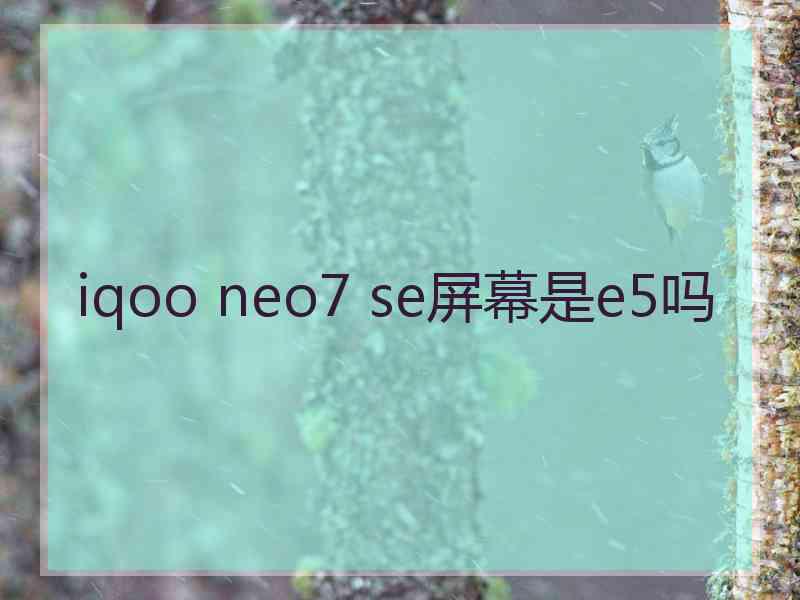 iqoo neo7 se屏幕是e5吗