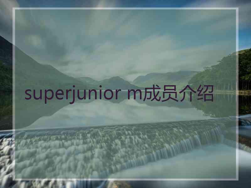 superjunior m成员介绍