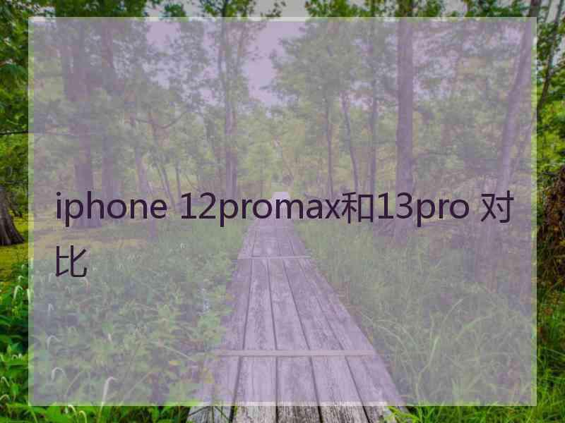 iphone 12promax和13pro 对比