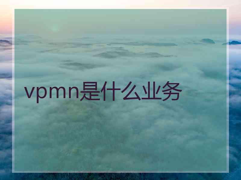 vpmn是什么业务