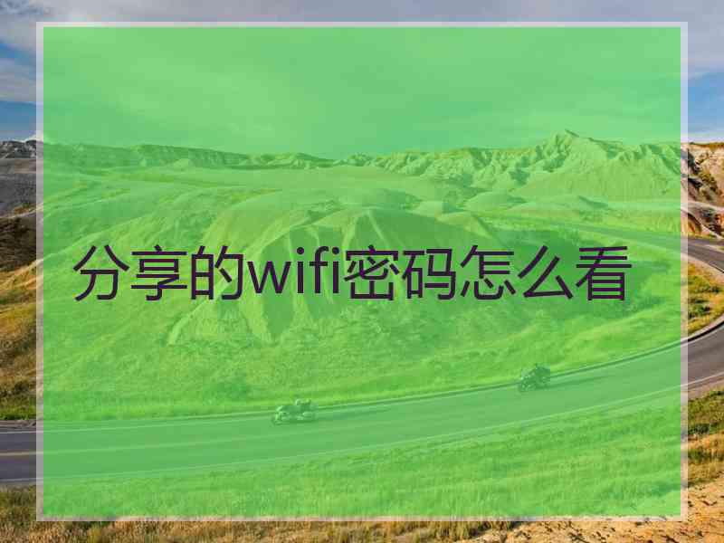 分享的wifi密码怎么看