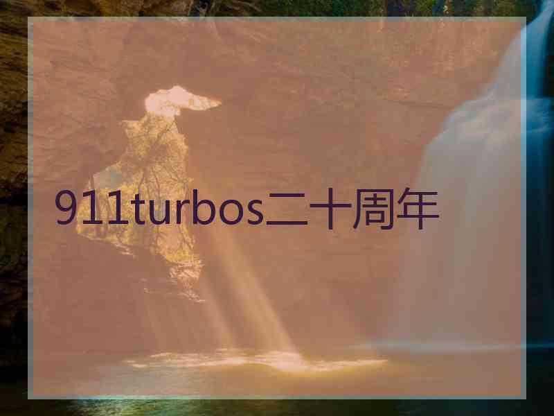 911turbos二十周年